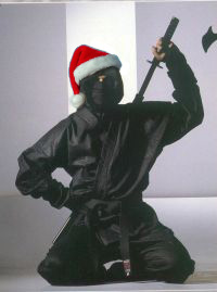 Secret Ninja Santa